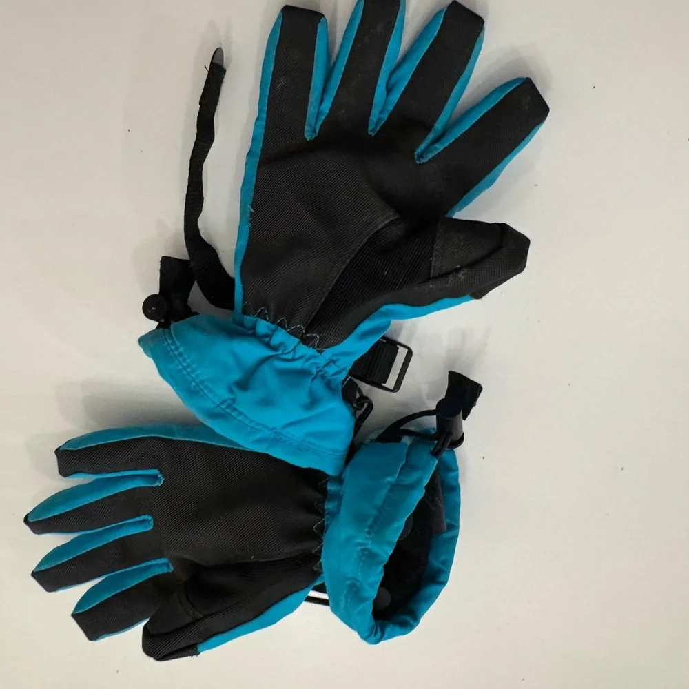 Northwave Blue Ski Gloves